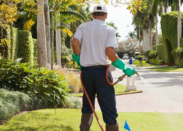 About Plainview NY Pest Control